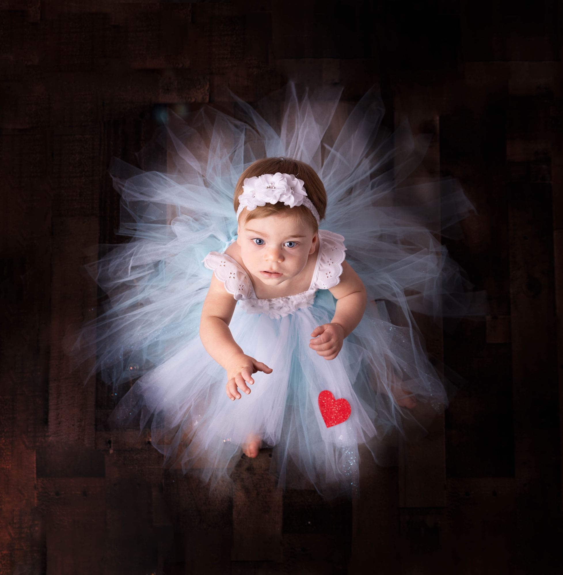Photography by Diane Custer