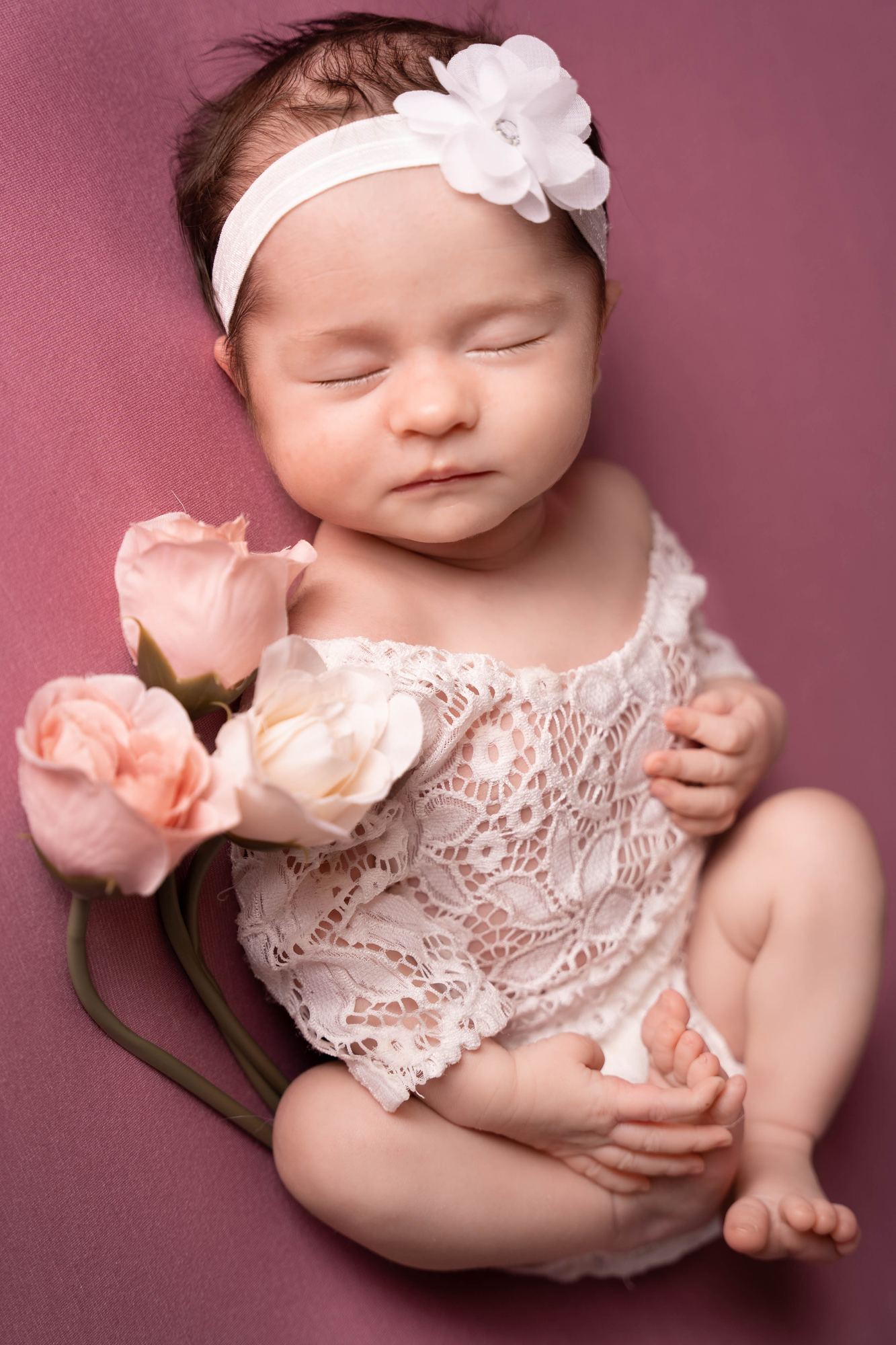 Photography by Diane Custer