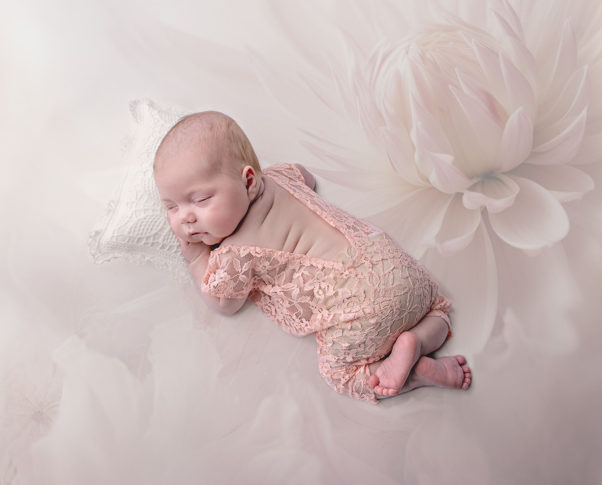 Photography by Diane Custer